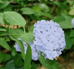 生活科学部の概要 お茶の水女子大学 生活科学部の概要 お茶の水女子大学
