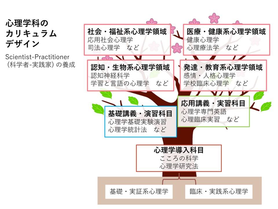 curriculum
